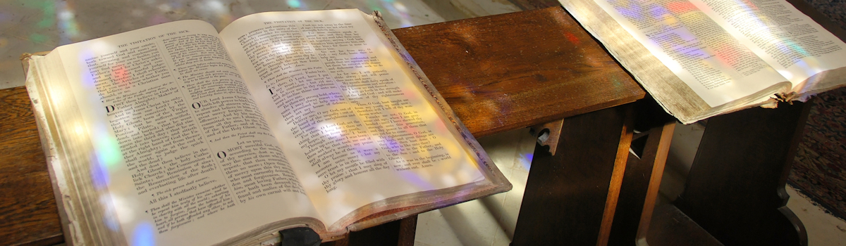 Last Weeks Daily Readings