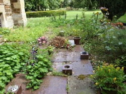 St Lawrence Churchyard - August Report