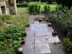 St Lawrence Churchyard - August Report