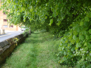 St Lawrence Churchyard - The North Path