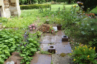St Lawrence Churchyard Report - August 2015
