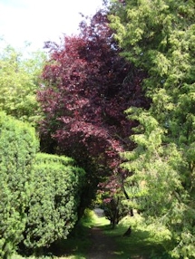 St Lawrence Churchyard